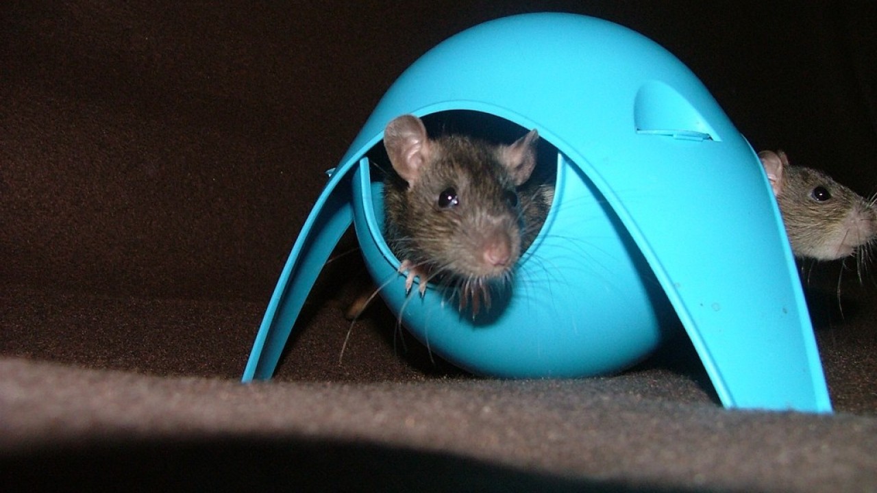 DSCF5471.JPG
