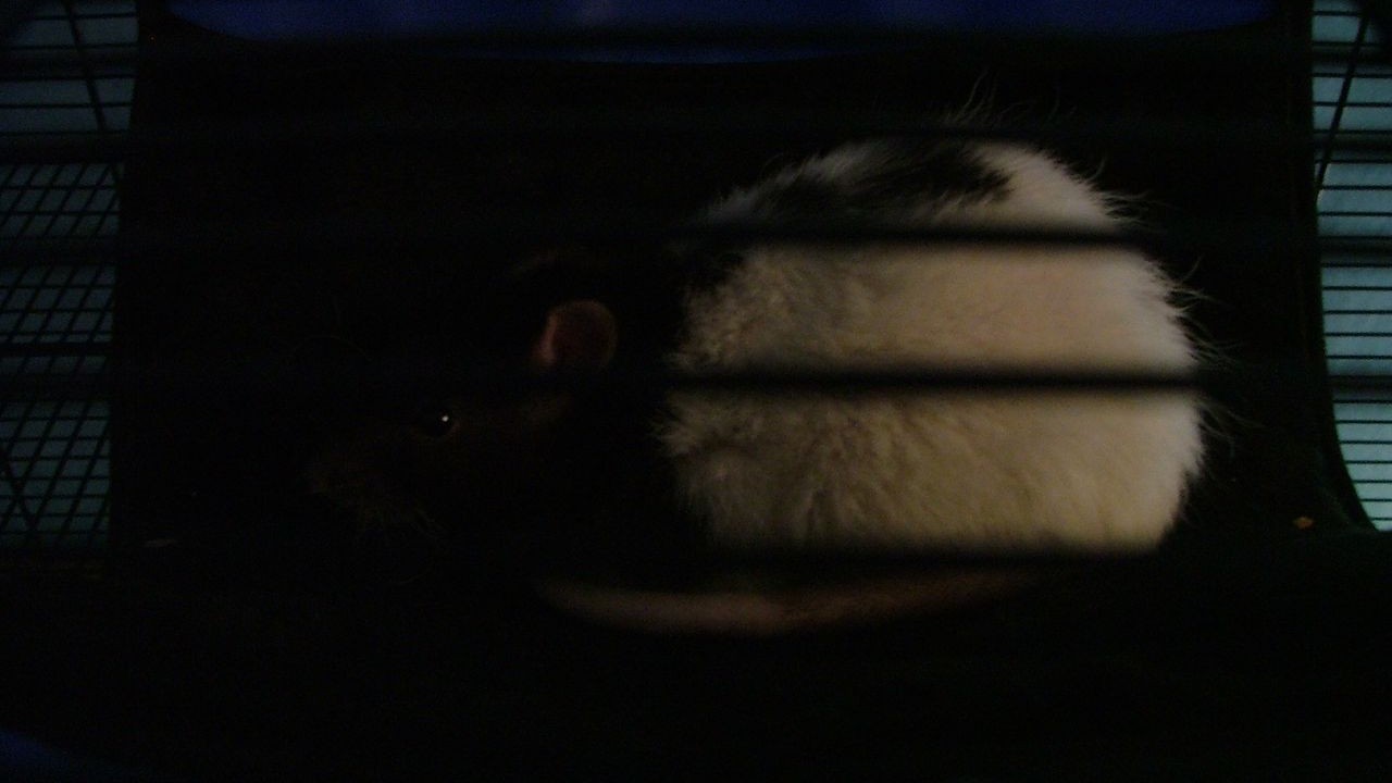 DSCF1530.JPG