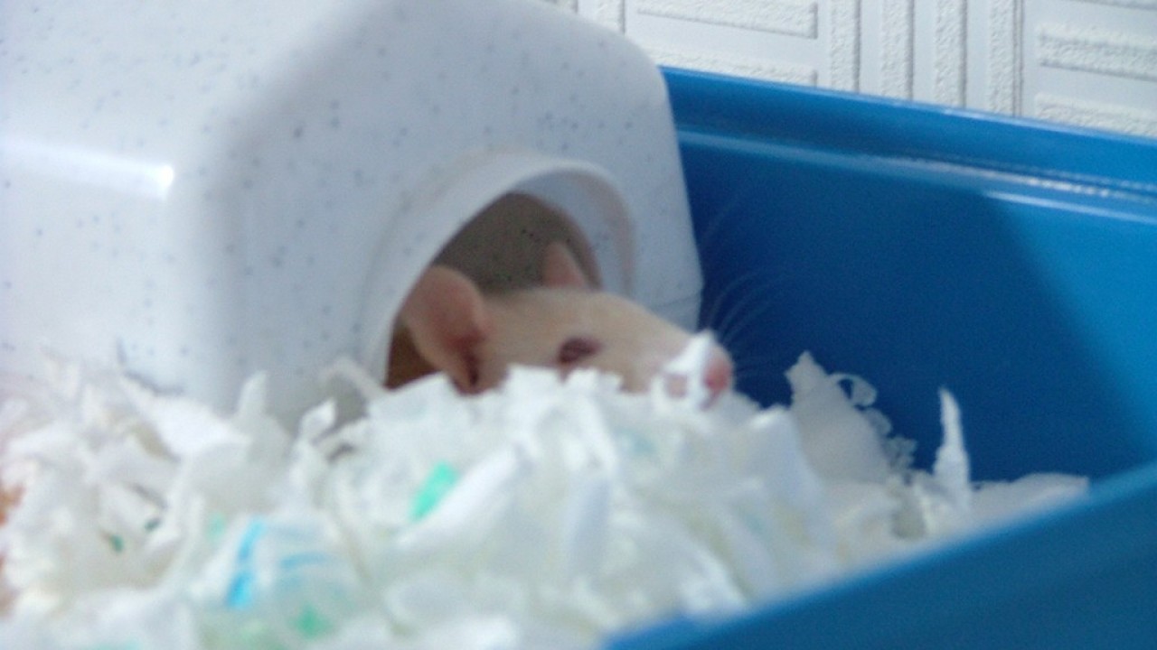 DSCF2107.JPG