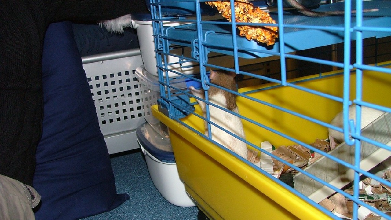 DSCF3759.JPG