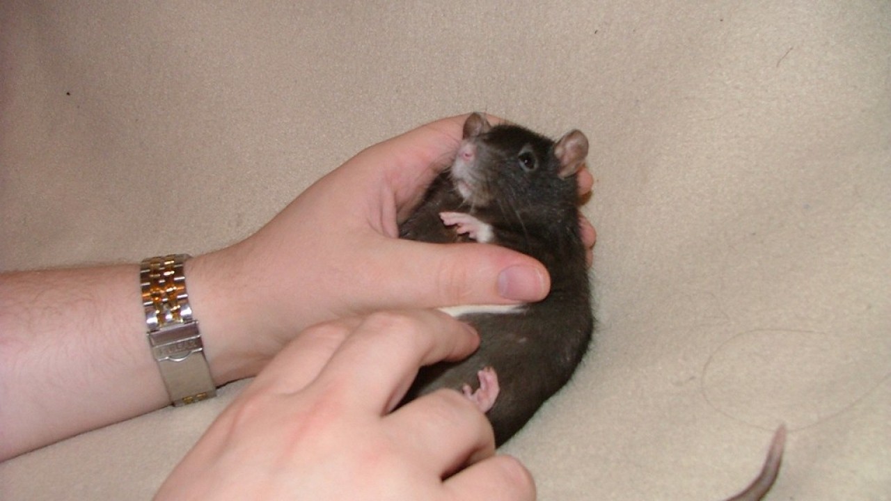 DSCF4295.JPG