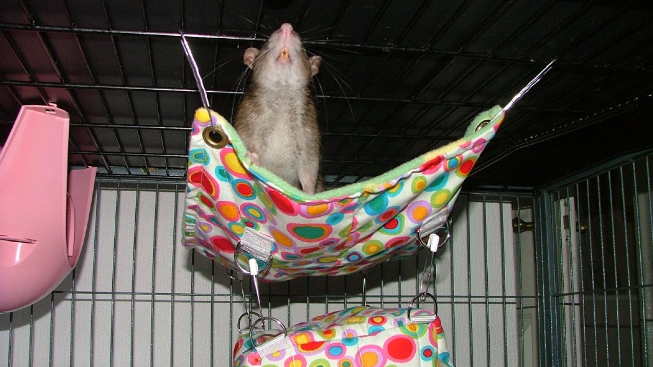 dscf6310.jpg