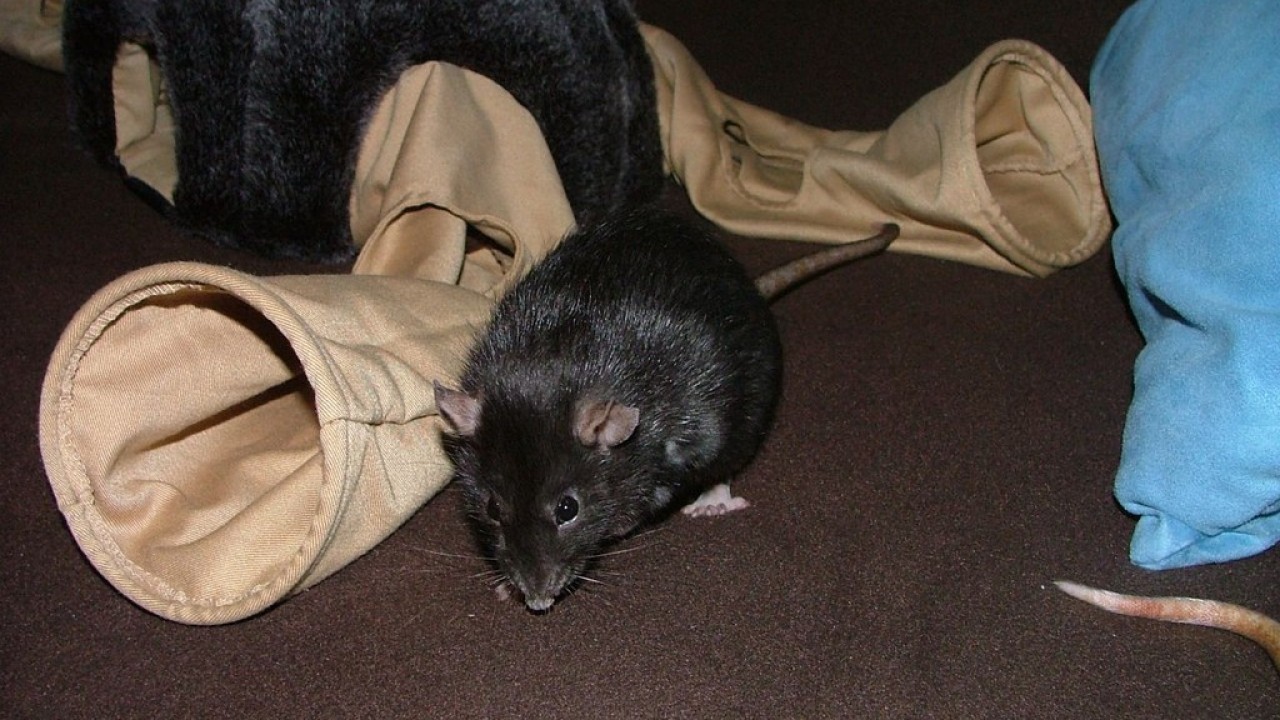 DSCF5559.JPG