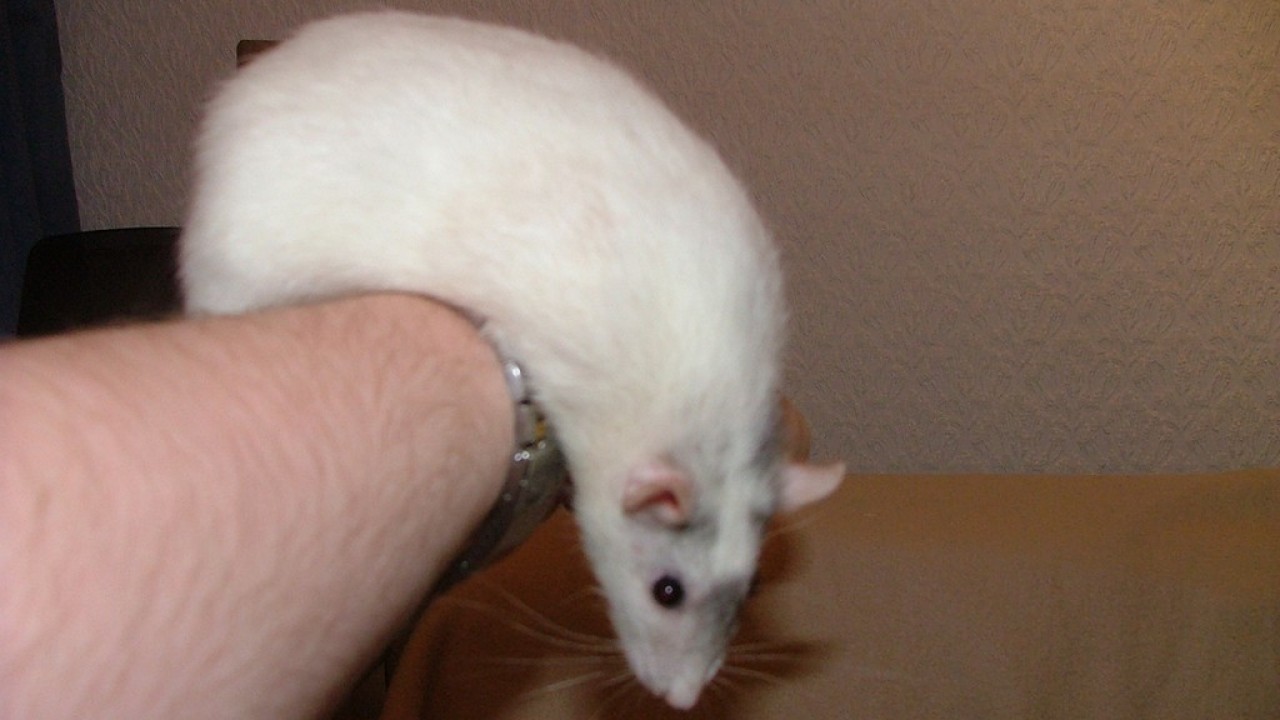 DSCF4287.JPG