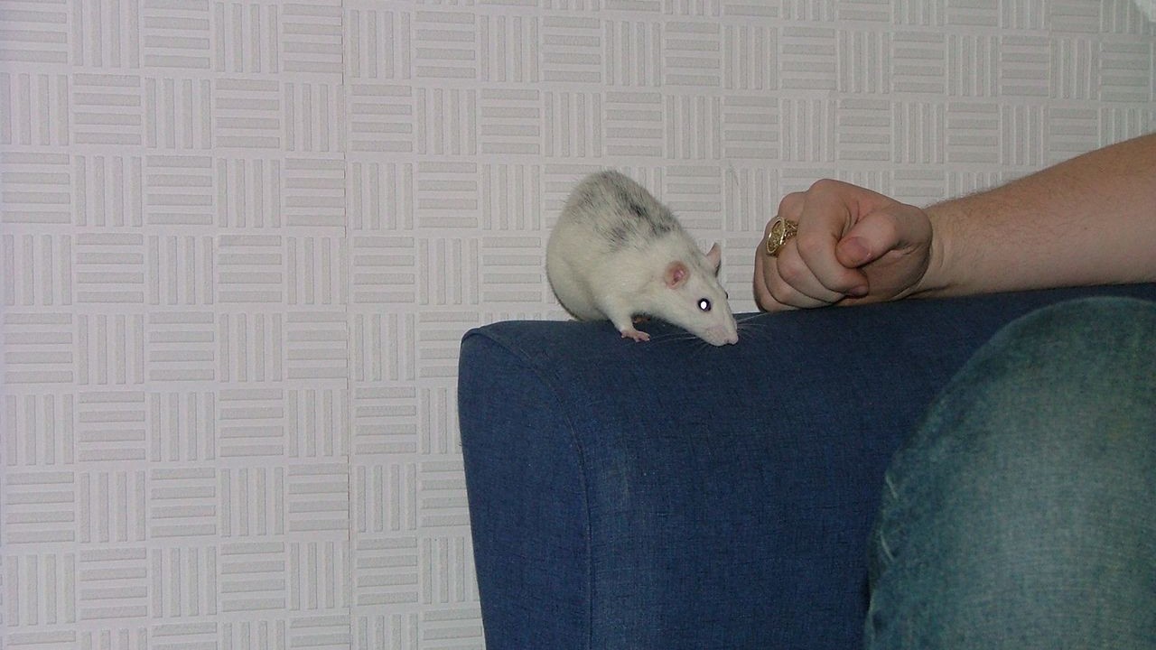 DSCF2905.JPG