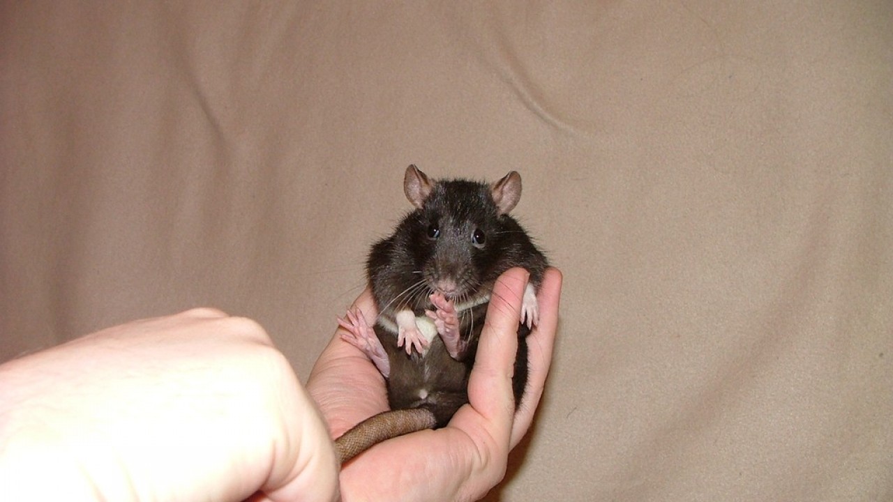 DSCF4293.JPG