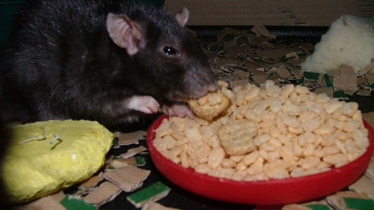 dscf6073.jpg