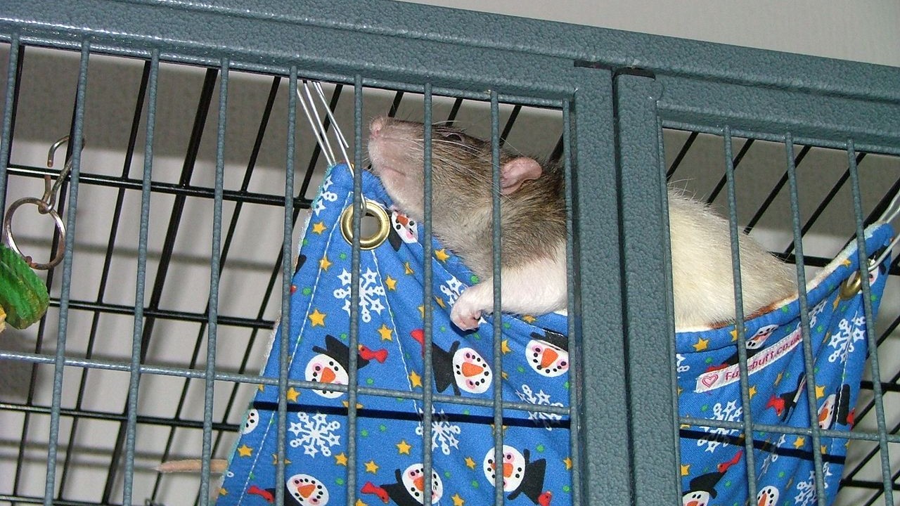 DSCF6754.JPG