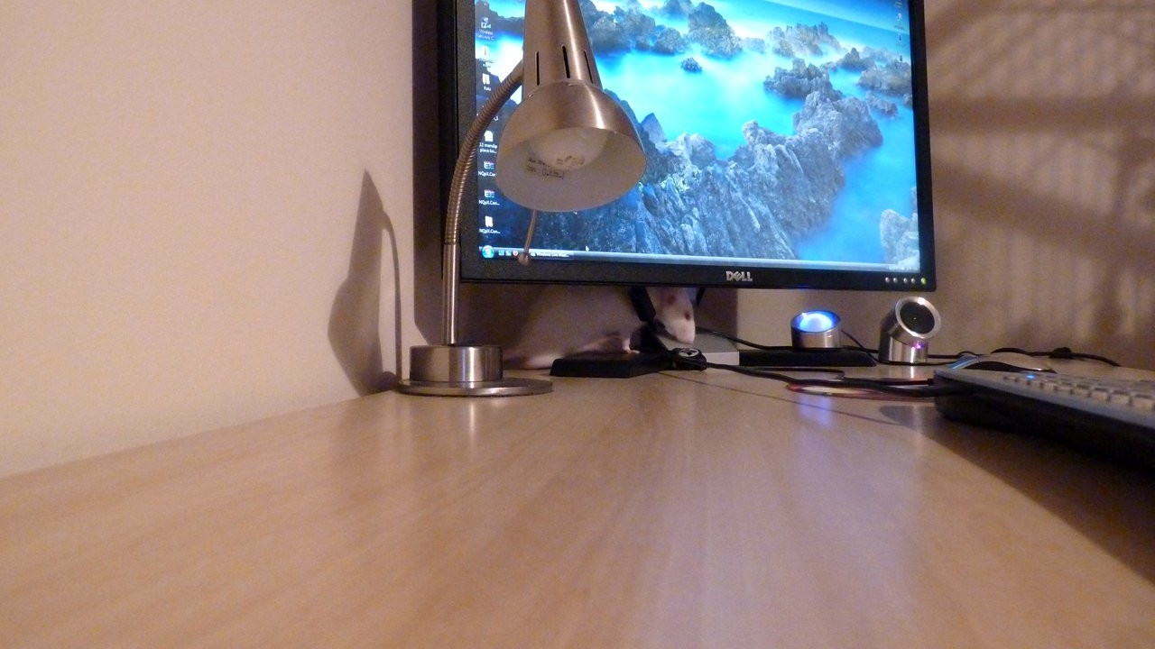 p1000890.jpg