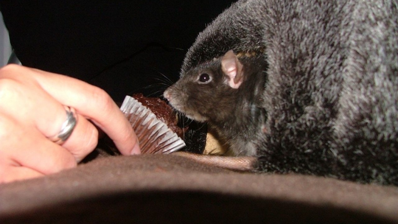 DSCF5548.JPG