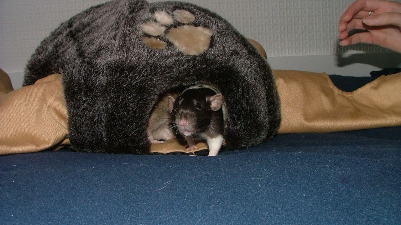 DSCF3939.JPG