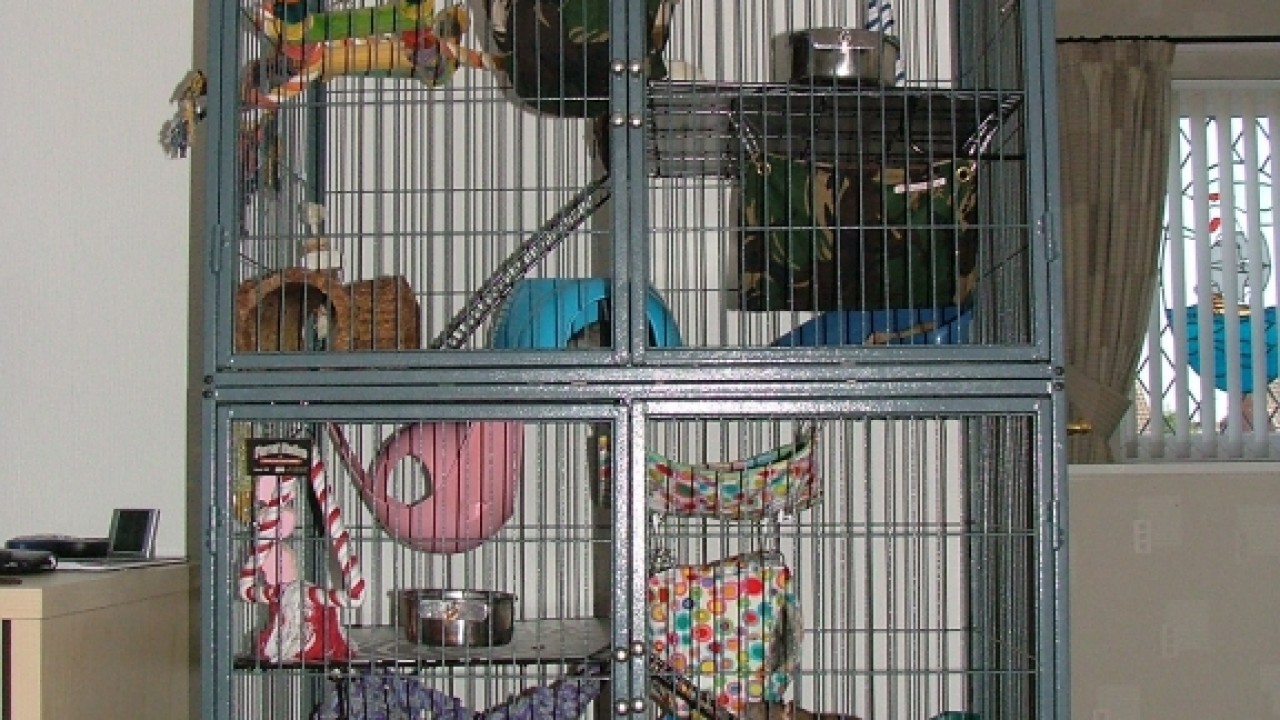 dscf6331.jpg