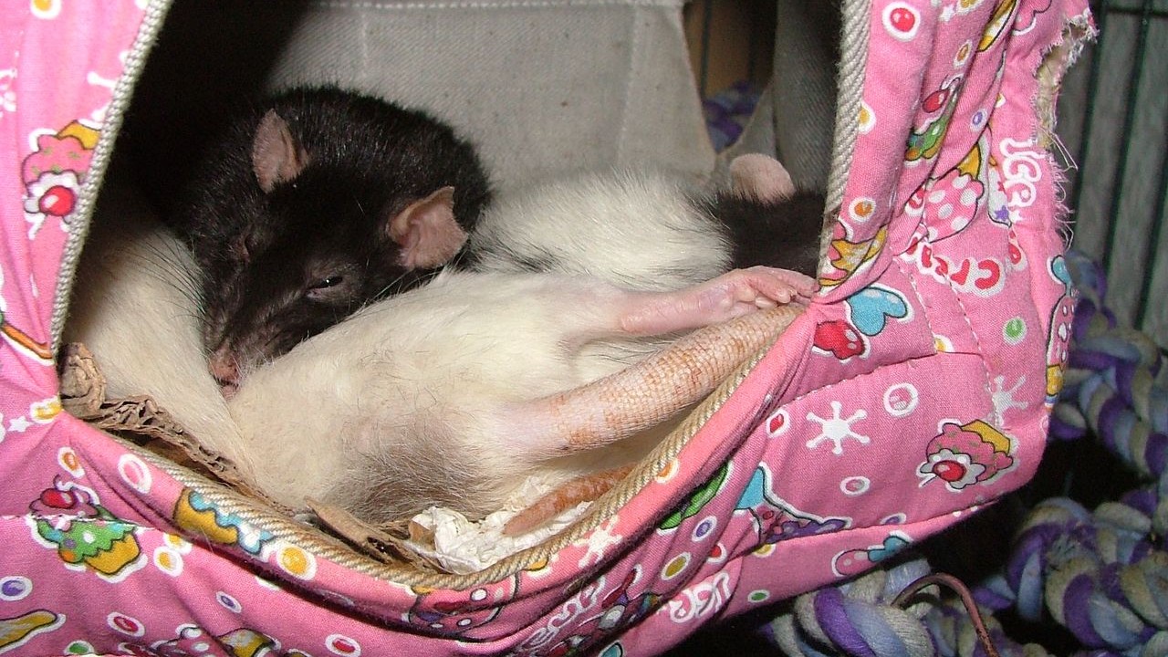 DSCF5707.JPG
