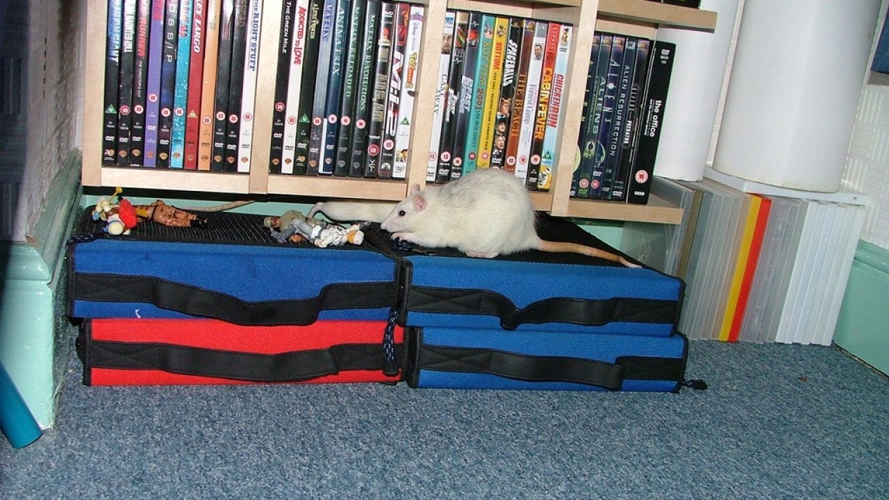 DSCF2651.JPG