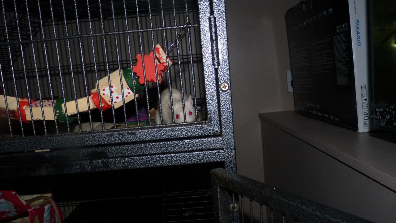 P1070243.JPG