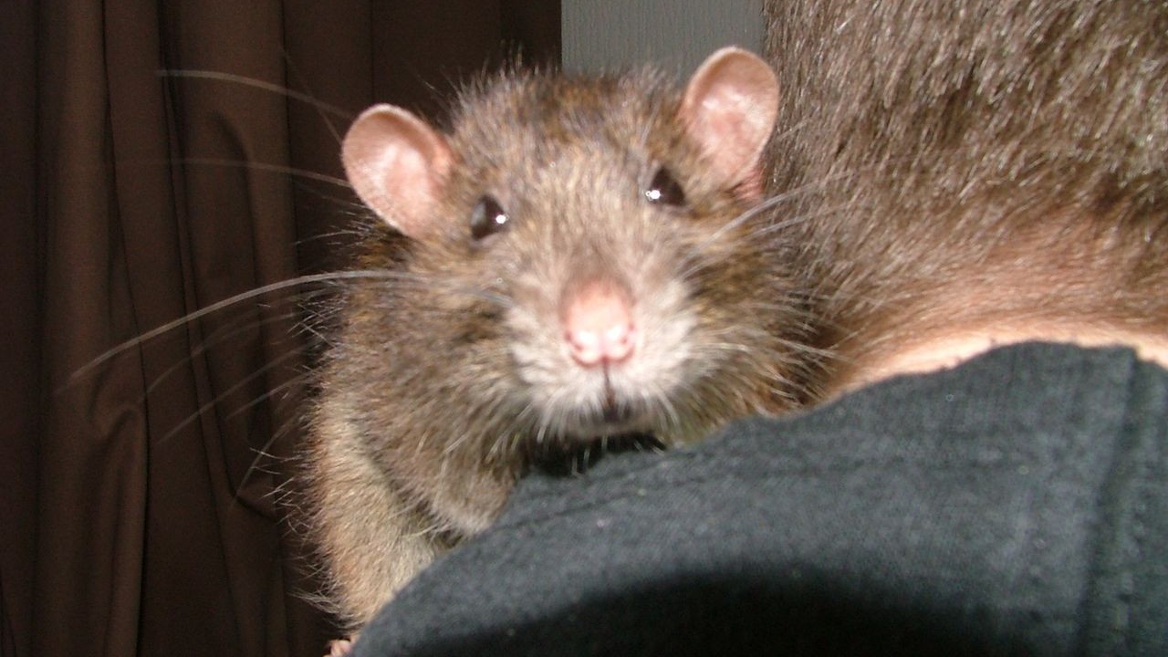 DSCF6593.JPG