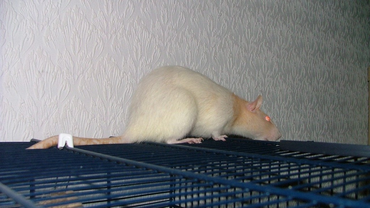 DSCF3677.JPG