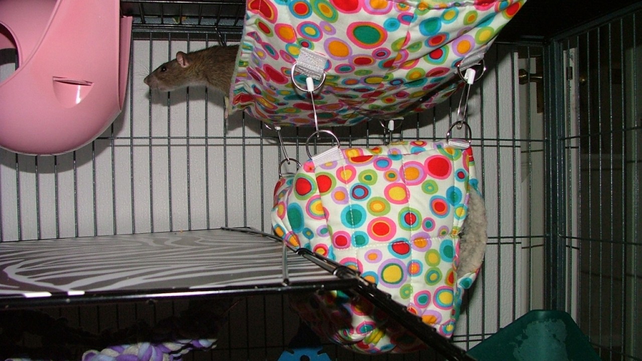 dscf6309.jpg