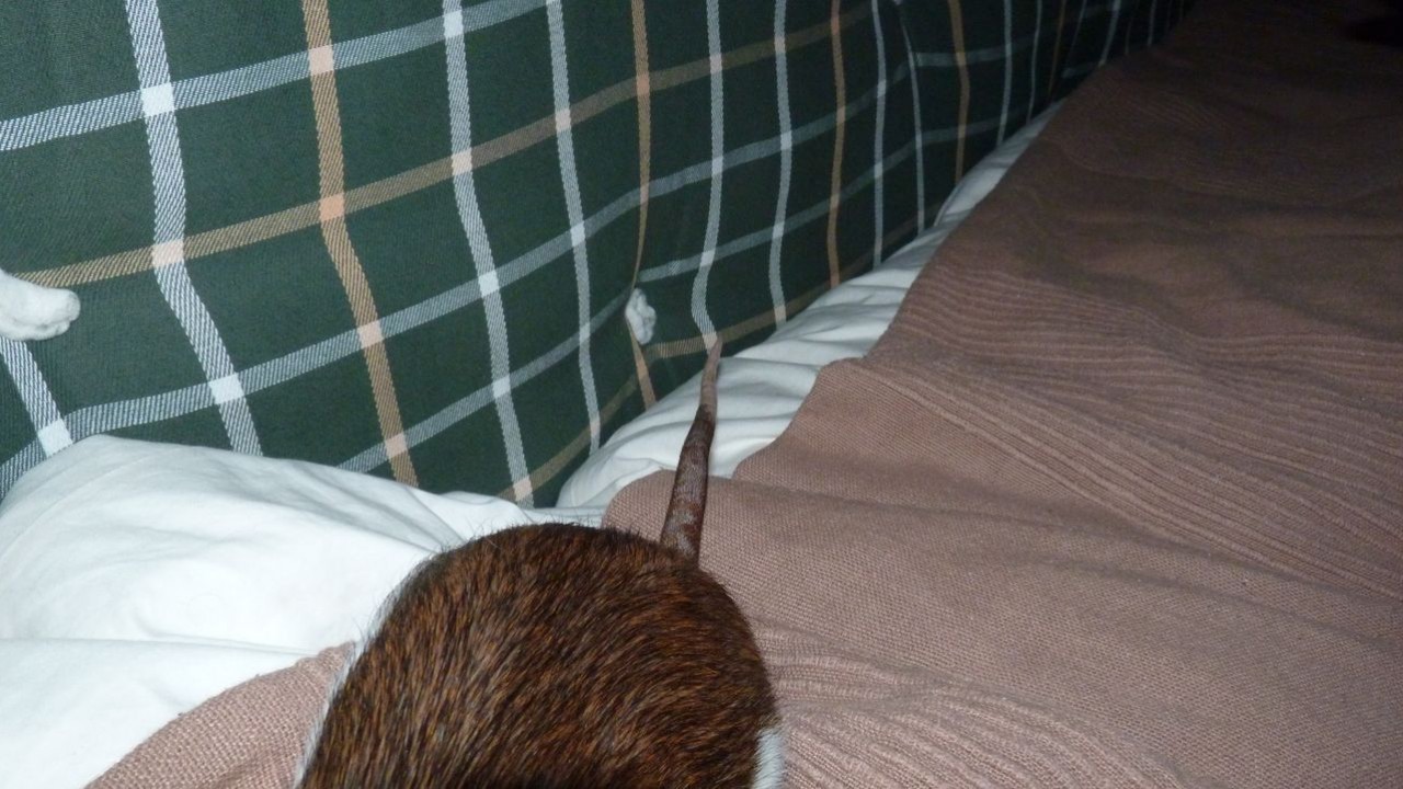 P1000404.JPG