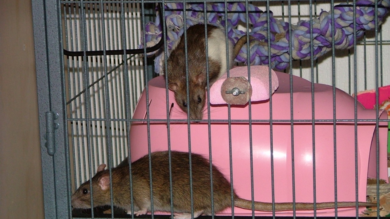 dscf6326.jpg