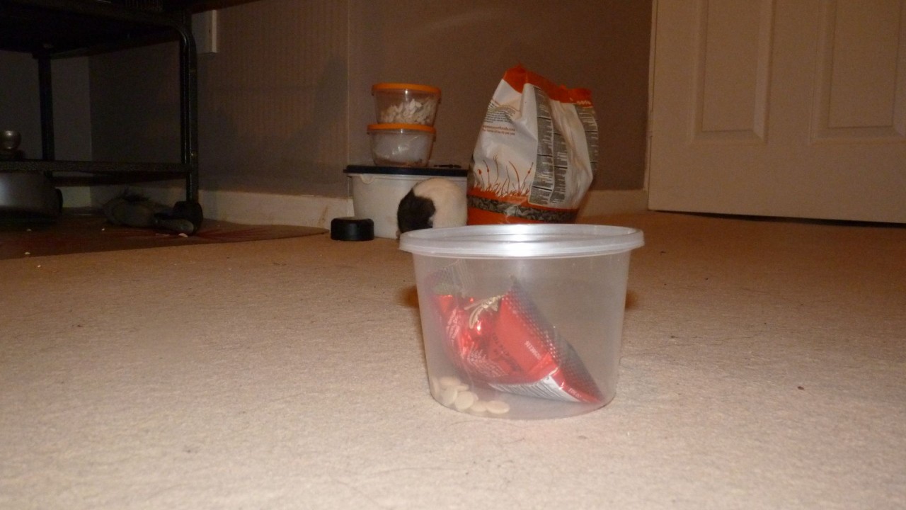P1060932.JPG
