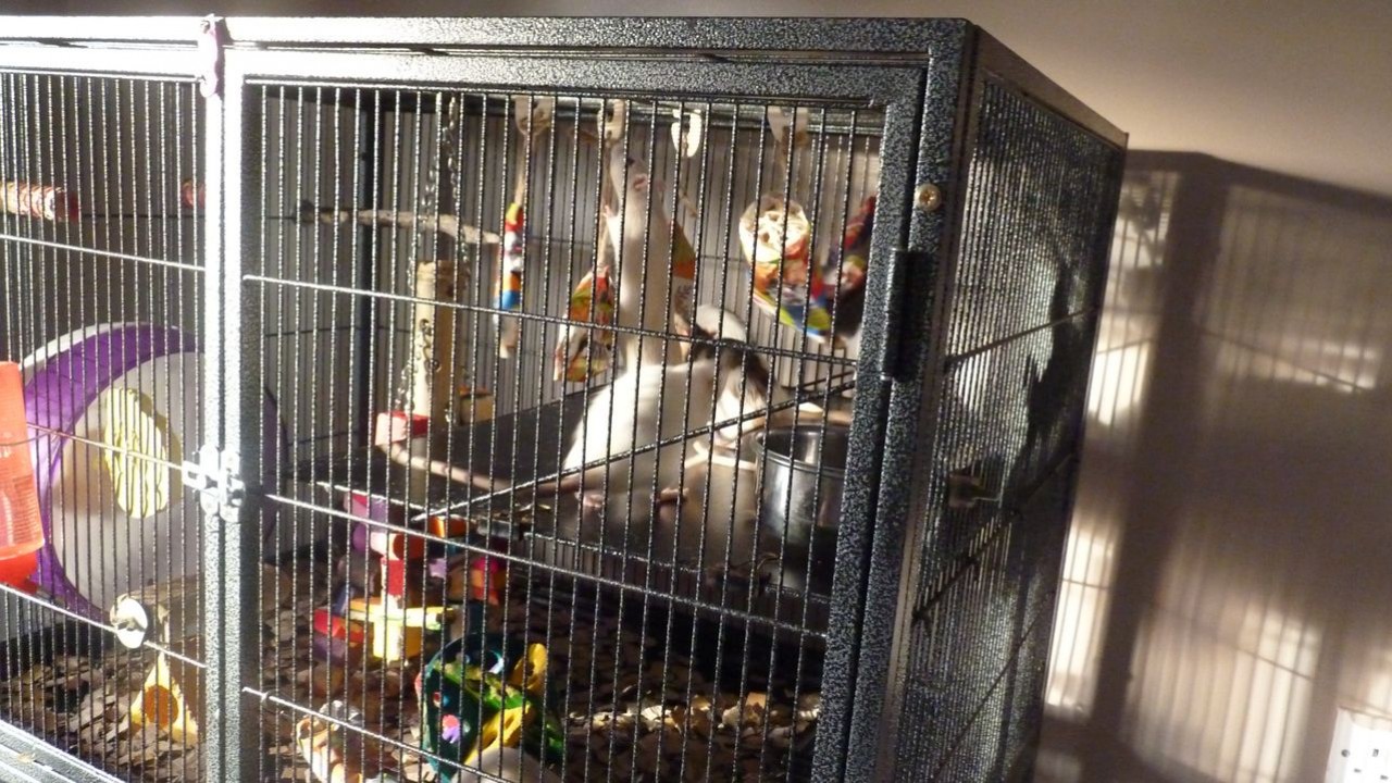 P1060034.JPG
