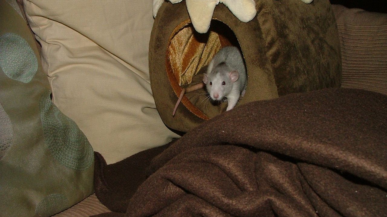 DSCF6760.JPG
