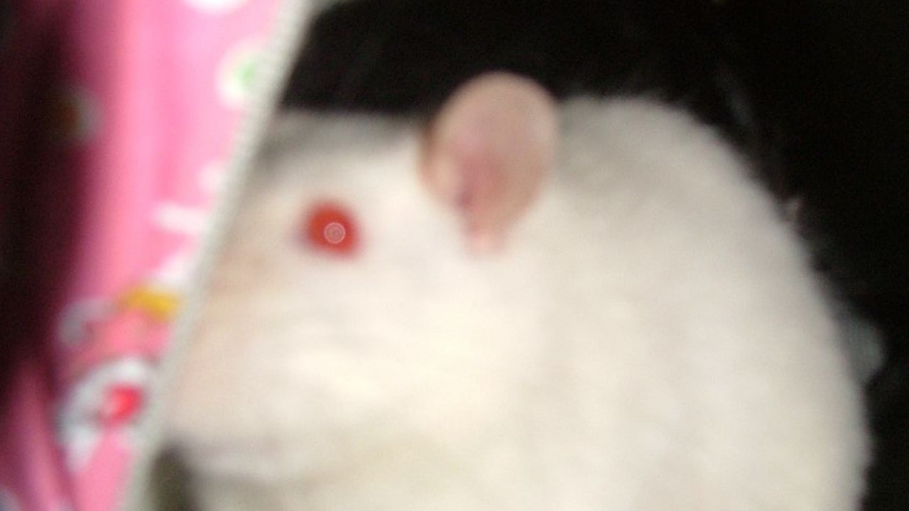 DSCF5658.JPG
