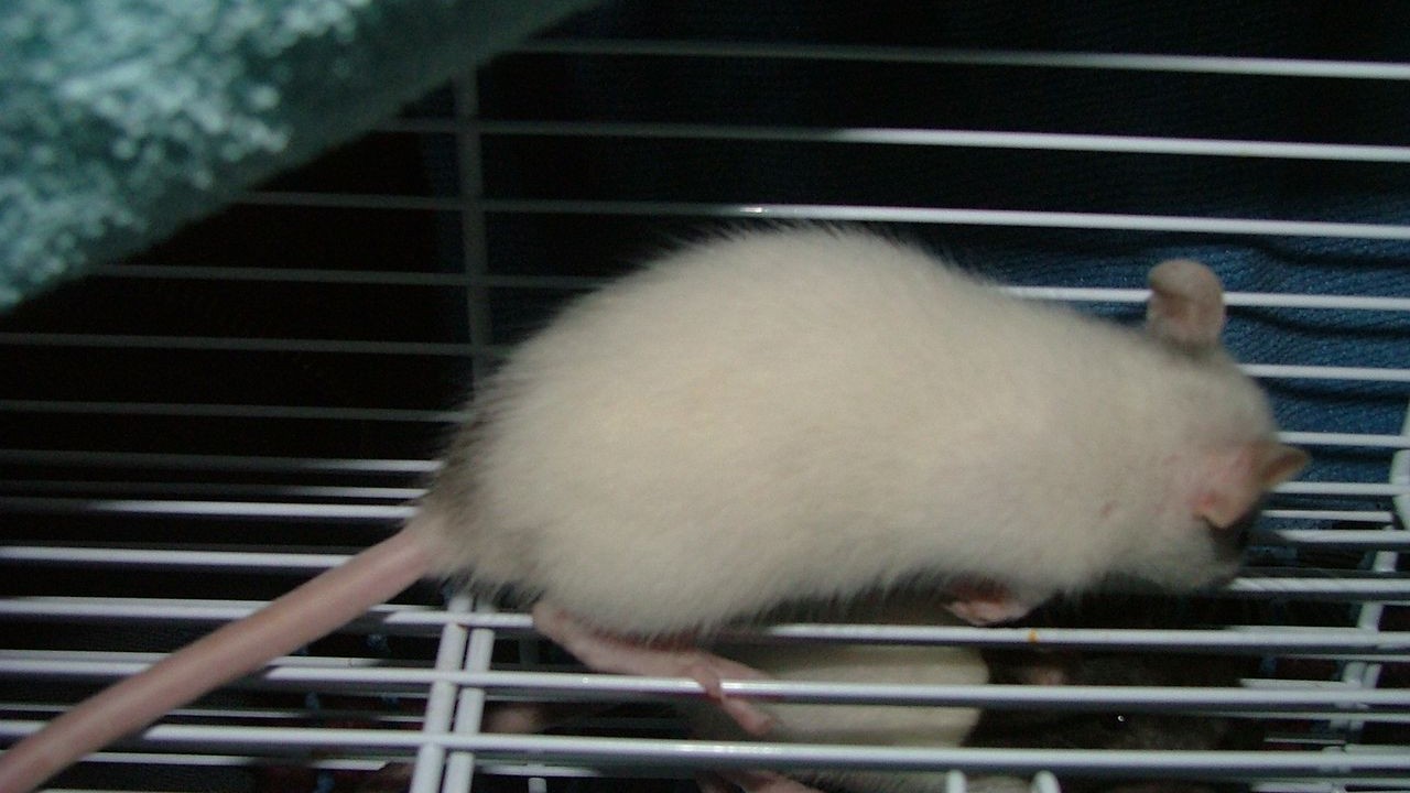 DSCF3670.JPG