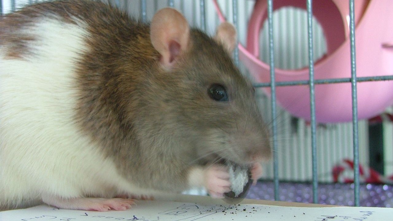DSCF6628.JPG