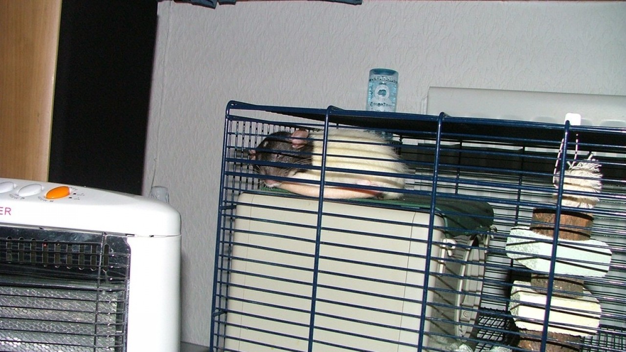 DSCF3880.JPG