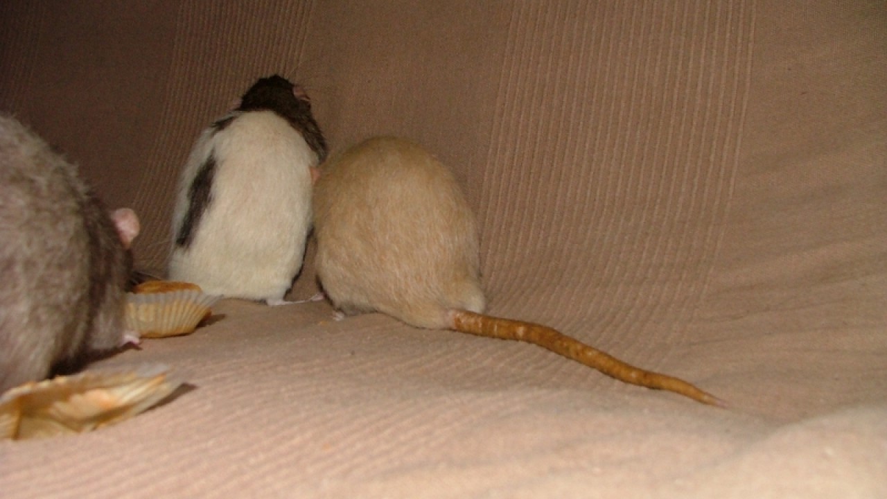 dscf6899.jpg