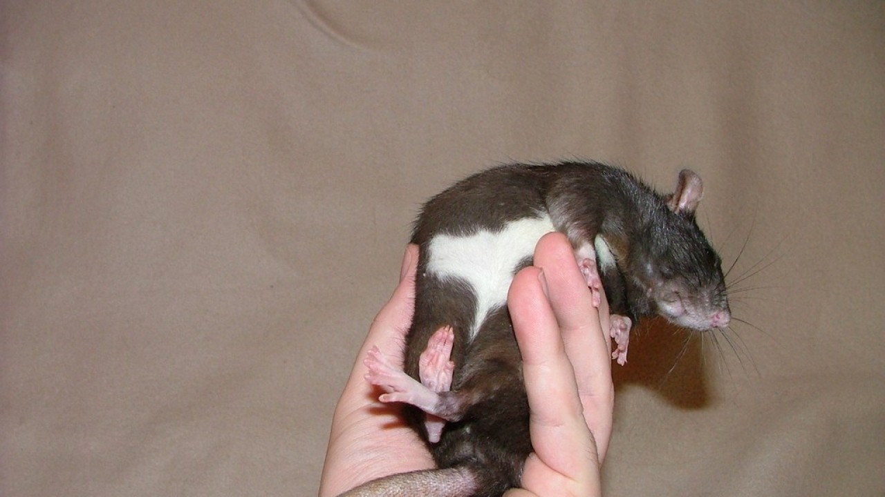 DSCF4292.JPG