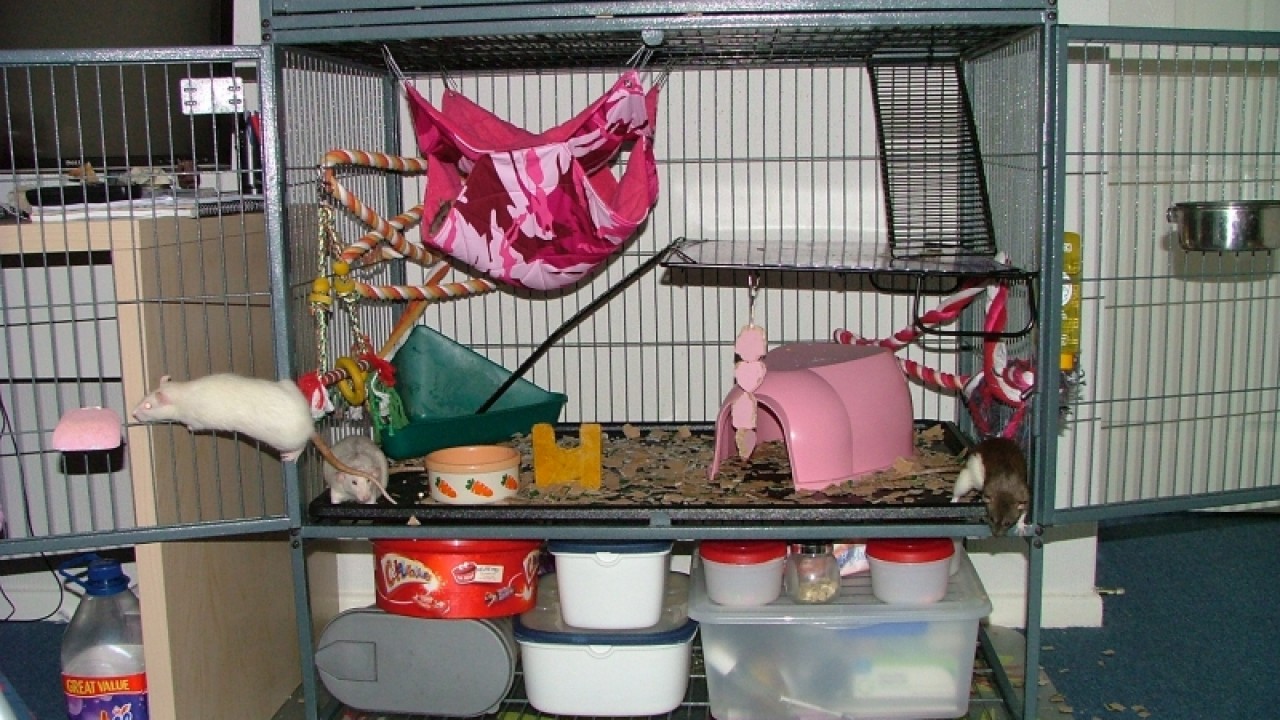 dscf6873.jpg