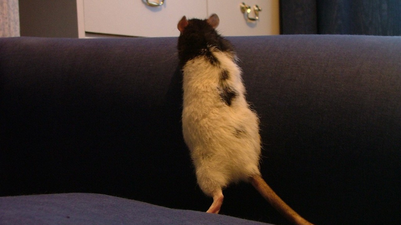 DSCF1502.JPG