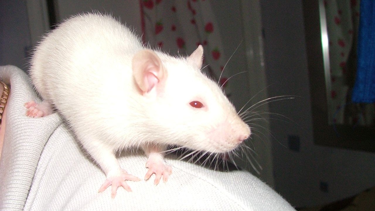 DSCF3874.JPG