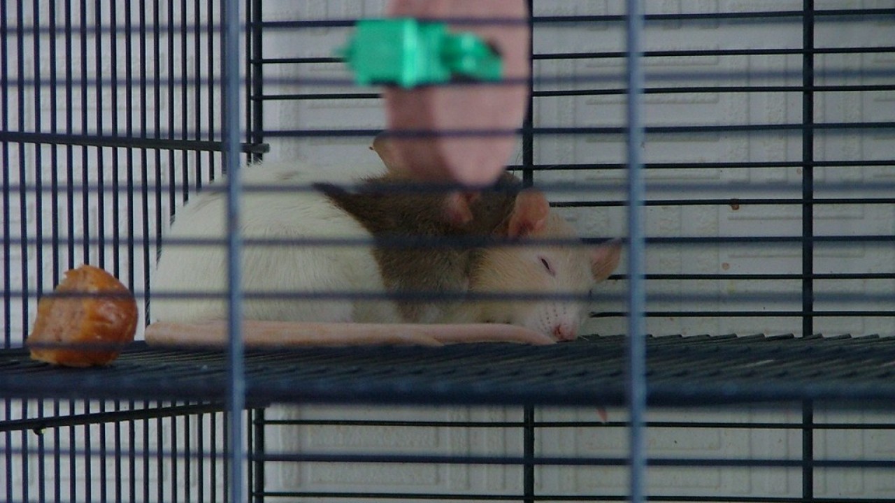 DSCF2139.JPG