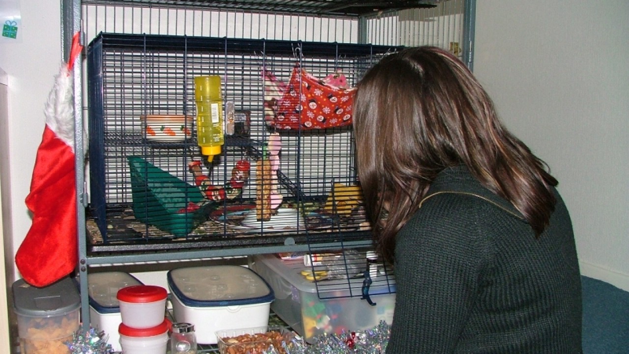 dscf6759.jpg