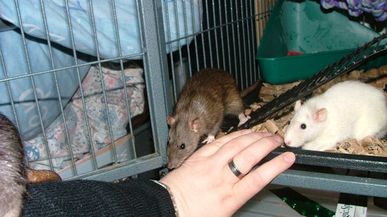 dscf5824.jpg
