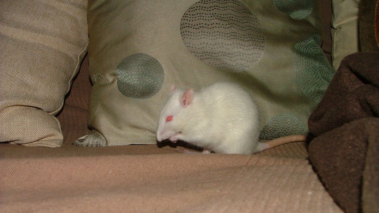 DSCF6764.JPG