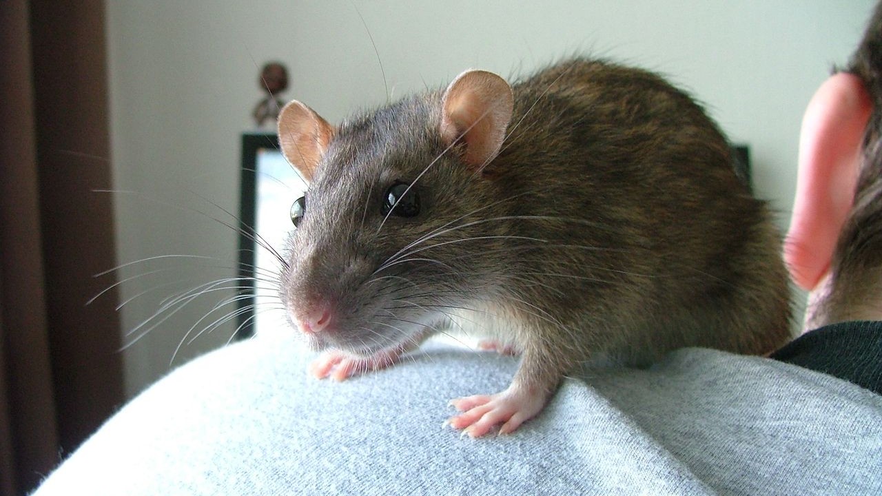DSCF6528.JPG