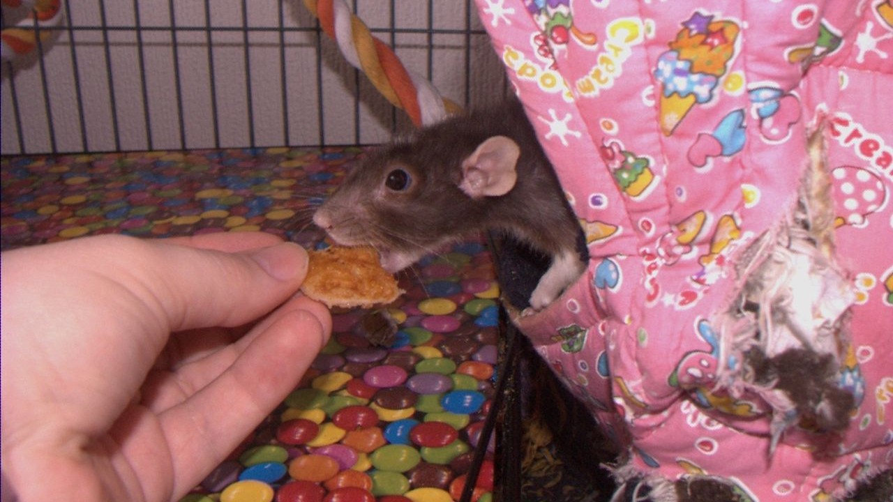 DSCF6184.jpg