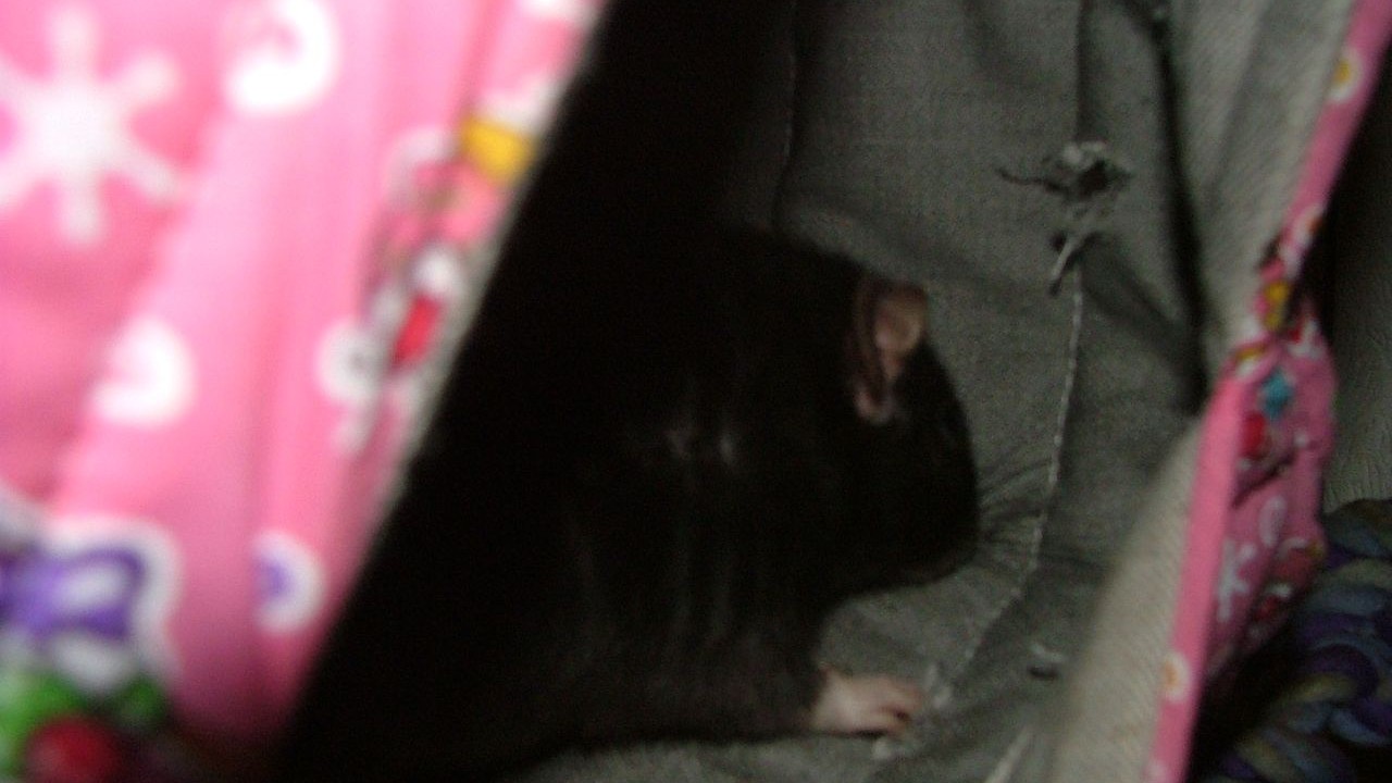 DSCF5662.JPG