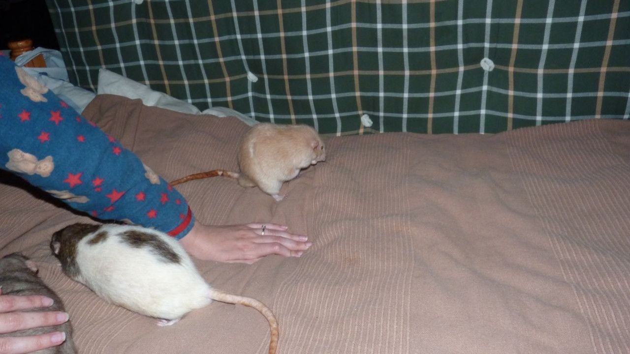 P1000360.JPG