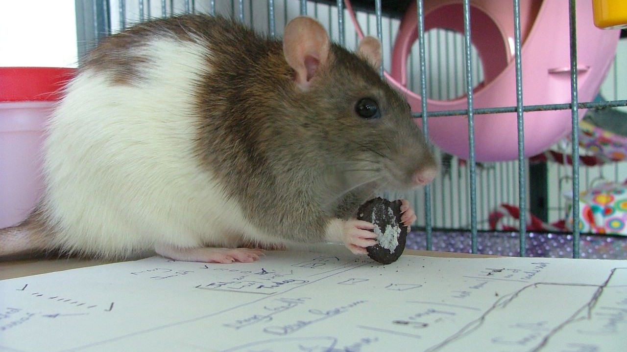DSCF6627.JPG