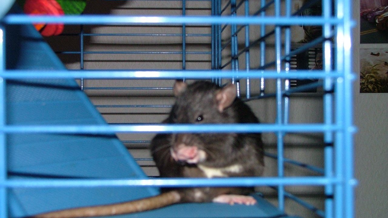 DSCF3771.JPG