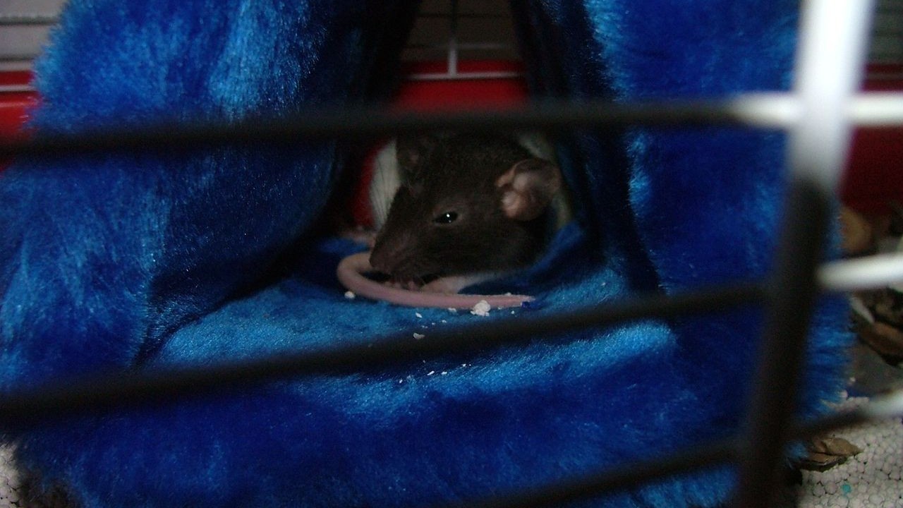 DSCF3661.JPG