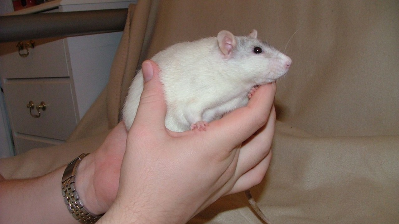 DSCF4290.JPG