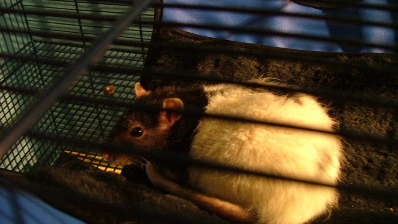 DSCF1514.JPG