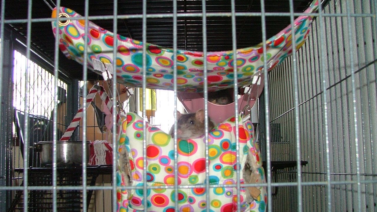 DSCF6512.JPG